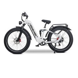 RZOGUWEX S9 sähköpyörä 48V25Ah akku 1000W moottori 26x4 renkaat 40 60 km toimintamatka 200 kg maksimikuorma