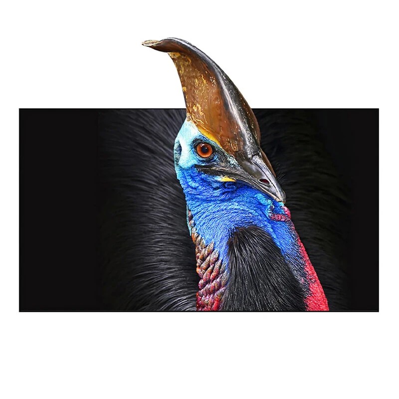 Wupro Cinema kiinteäkehysinen CBSP ALR UST kotiteatterinäyttö 92 120 tuumaa 160 katselukulma 150 1 kontrasti