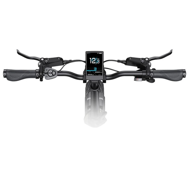 ENGWE L20 3.0 Pro sähköpyörä 48V 15Ah 250W 25 km/h 160 km kantama taitettava