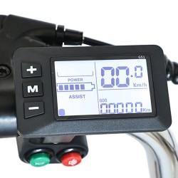 GOGOBEST GF100 sähköinen kolmipyörä 36V 15Ah 350W moottori 25km/h 70km toimintamatka 200kg kantavuus