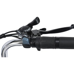 GOGOBEST GF100 sähköinen kolmipyörä 36V 15Ah 350W moottori 25km/h 70km toimintamatka 200kg kantavuus