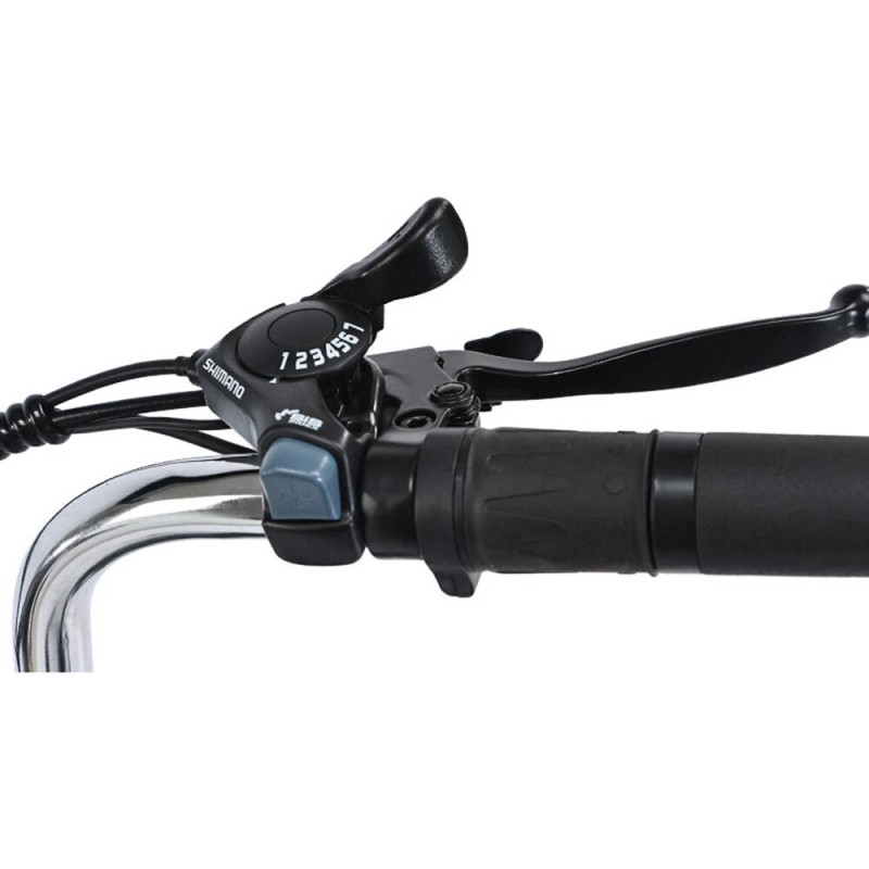 GOGOBEST GF100 sähköinen kolmipyörä 36V 15Ah 350W moottori 25km/h 70km toimintamatka 200kg kantavuus