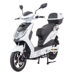 RACCEWAY® MOTOE-1F sähkömopo EEC/COC 25km/h 250W 48V12Ah 40km toimintamatka 16 tuuman renkaat