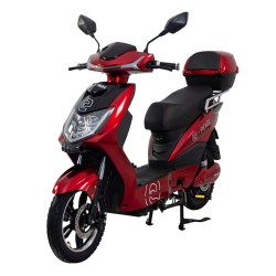 RACCEWAY® MOTOE-1F sähkömopo EEC/COC 25km/h 250W 48V12Ah 40km toimintamatka 16 tuuman renkaat