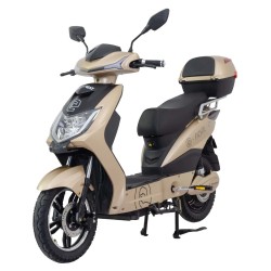 RACCEWAY MOTOE-1F sähköskootteri EEC/COC-sertifioitu 250W-moottori 48V20Ah-akku 60km-toimintamatka 120kg-kantavuus