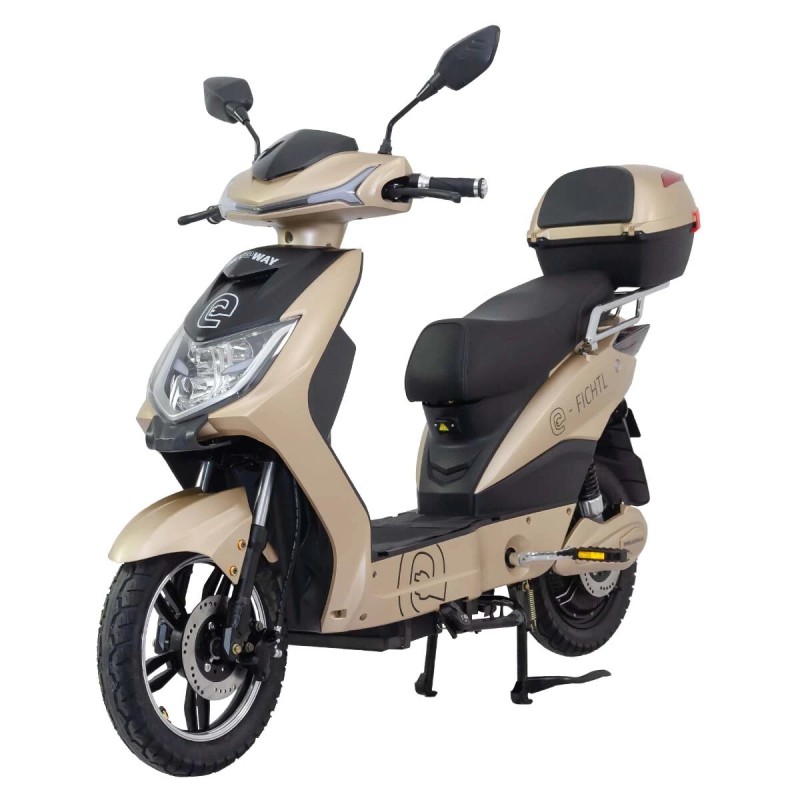 RACCEWAY MOTOE-1F sähköskootteri EEC/COC-sertifioitu 250W-moottori 48V20Ah-akku 60km-toimintamatka 120kg-kantavuus