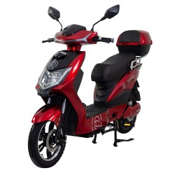 RACCEWAY MOTOE-1F sähköskootteri EEC/COC-sertifioitu 250W-moottori 48V20Ah-akku 60km-toimintamatka 120kg-kantavuus