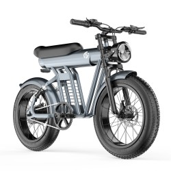 YYG ZM21 sähköpyörä 48V 20Ah akku 1200W moottori 25km/h huippunopeus 55-65km toimintasäde 150kg kantavuus