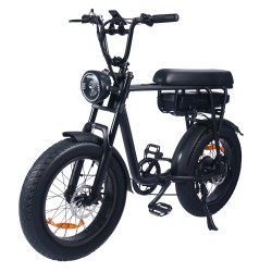 YAMALI FXH 006 sähköpyörä 48V 18Ah 350W 20 tuuman renkaat 45 50 km kantavuus 120 kg