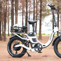 FAFREES takakori 50x32x15 cm musta 25kg kantavuus sopii F20-sarjan sähköpyöriin