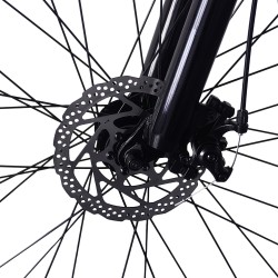 PVY M29 sähköpyörä 48V 17,5Ah irrotettava akku 500W moottori 29-tuumaiset renkaat 120km kantavuus 150kg