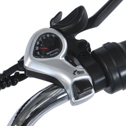 GOGOBEST GF100 sähkökäyttöinen kolmipyörä 36V 20Ah akku 350W moottori 24-tuumaiset renkaat 70km toimintasäde 200kg kantavuus