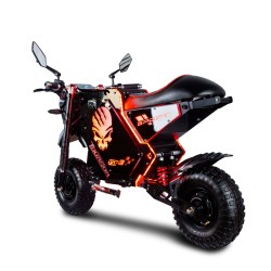 TOURSOR M10 sähkömopo 72V/50AH-akku 5000W*2 kaksoismoottorit 14 tuumaa 150km 300kg