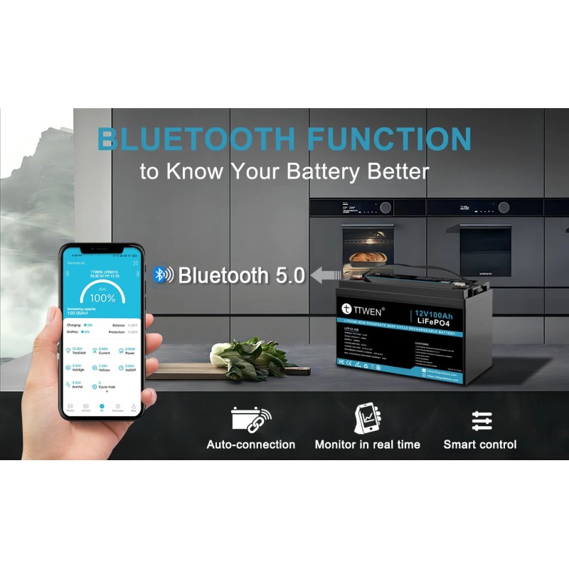 TTWEN 12V 100Ah LiFePO4 akku Bluetoothilla 100A BMS matkailuautoihin ja aurinkojärjestelmiin