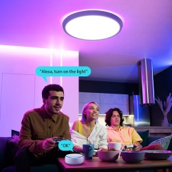 BlitzWill BW-CLT2 40 cm älykattovalaisin monivärinen säädettävä värilämpötila sovellus ja ääniohjaus kaukosäädin