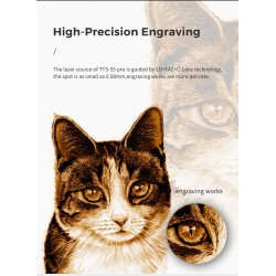 TWO TREES TTS-55 PRO diodilaserkaiverrin 300x300 mm kaiverrus- ja leikkaustyökalu puulle metalli lasi nahka