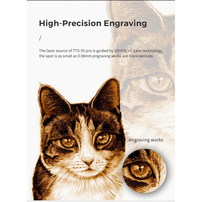 TWO TREES TTS-55 PRO diodilaserkaiverrin 300x300 mm kaiverrus- ja leikkaustyökalu puulle metalli lasi nahka