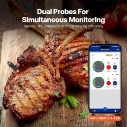 NovuLife älykäs langaton lihalämpömittari bluetooth kaksianturinen grillaukseen retkille ruoanlaittoon