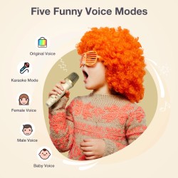 BlitzMax lasten kannettava karaokakaiutin bluetooth kaksi mikrofonia valot kuuden tunnin akku