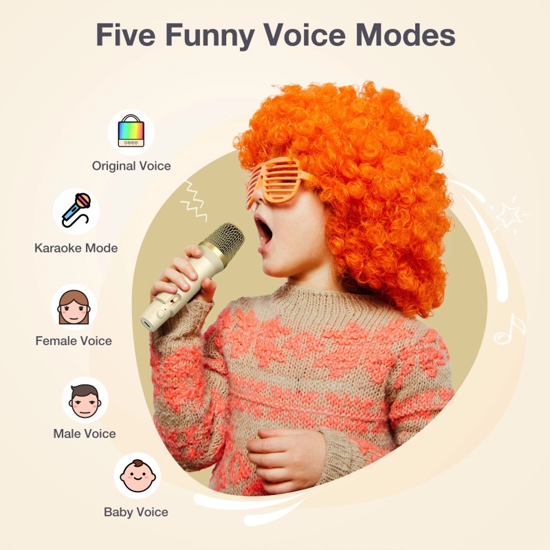 BlitzMax lasten kannettava karaokakaiutin bluetooth kaksi mikrofonia valot kuuden tunnin akku