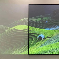 Wupro Cinema kiinteäkehysinen musta kristallivalkokangas 4K 160° 10 mm ohut kehys 92–130 tuumaa