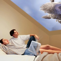 JMGO N1 kannettava 1080p projektori kolmivärinen laser 750 lumenia 150 tuuman näyttö Android TV Dynaudio-kaiuttimet