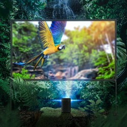 BlitzWolf BW-VS6 kannettava projektorin valkokangas jalustalla 80/100/120 tuumaa 16:9 4K-resoluutio taitettava