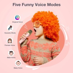 BlitzMax BM-K10 lasten kannettava karaokekaiutin bluetooth kaksi langatonta mikrofonia rgb-valot